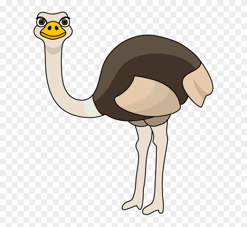 Ostrich Clip Art - Clipart Ostrich - Png Download