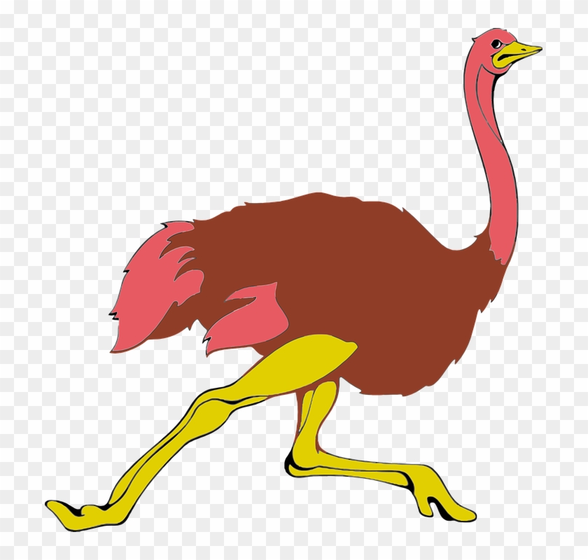 Animal Bird Flightless - Running Ostrich Clipart - Png Download #1920526