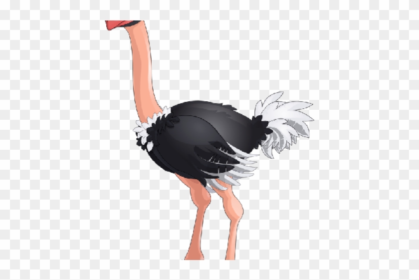 Ostrich Clipart Circus - Png Download #1921245