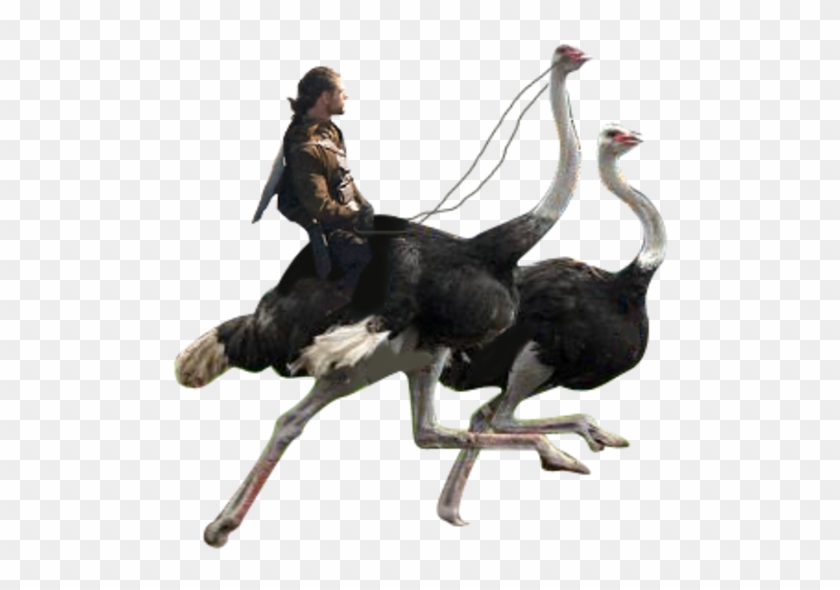 Deleted Ostrich Riding Scene Clipart #1921439