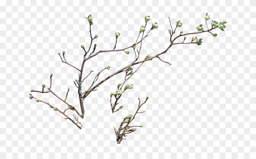 Twigs Sticker - Twig Clipart #1922422