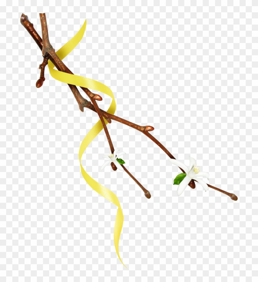 #mq #twig #twigs #leafs #leaf #leaves #nature #yellow - Twig Clipart #1922478