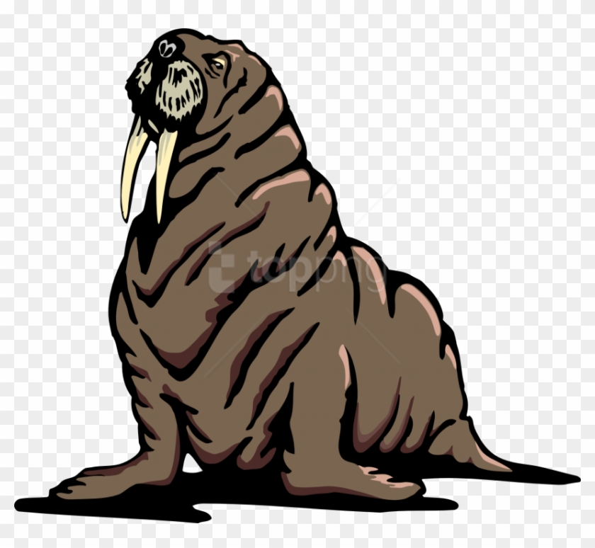 Free Png Walrus Png Images Transparent Clipart #1922993