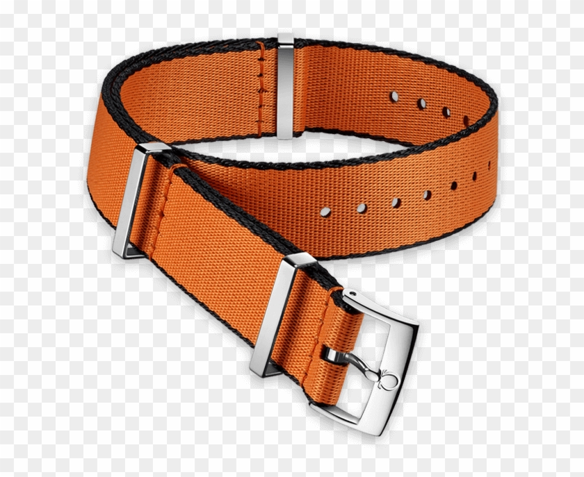 Nato Straps 031cwz010648 Clipart #1923062