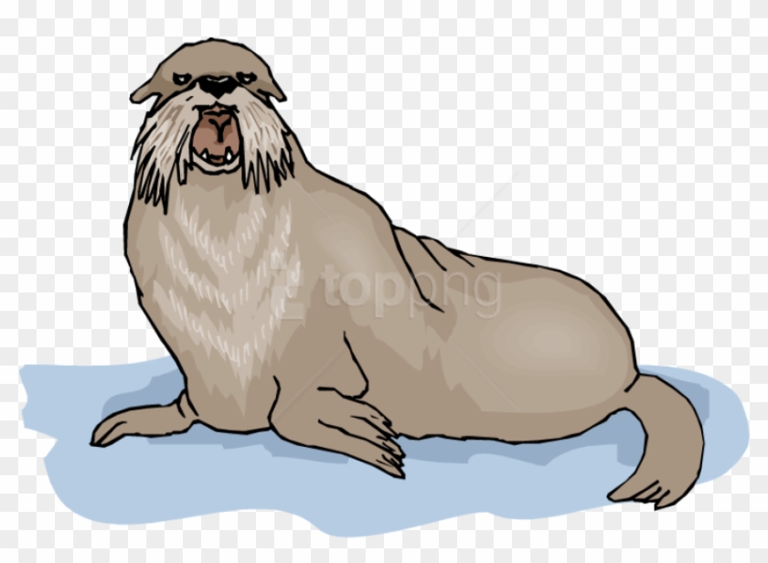 Free Png Walrus Background Png Png Images Transparent Clipart