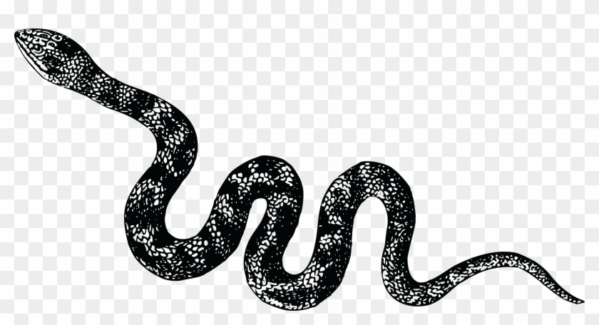 Viper Snake Png High-quality Image Clipart #1923231