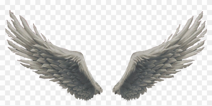 Report Abuse Clipart #1923282