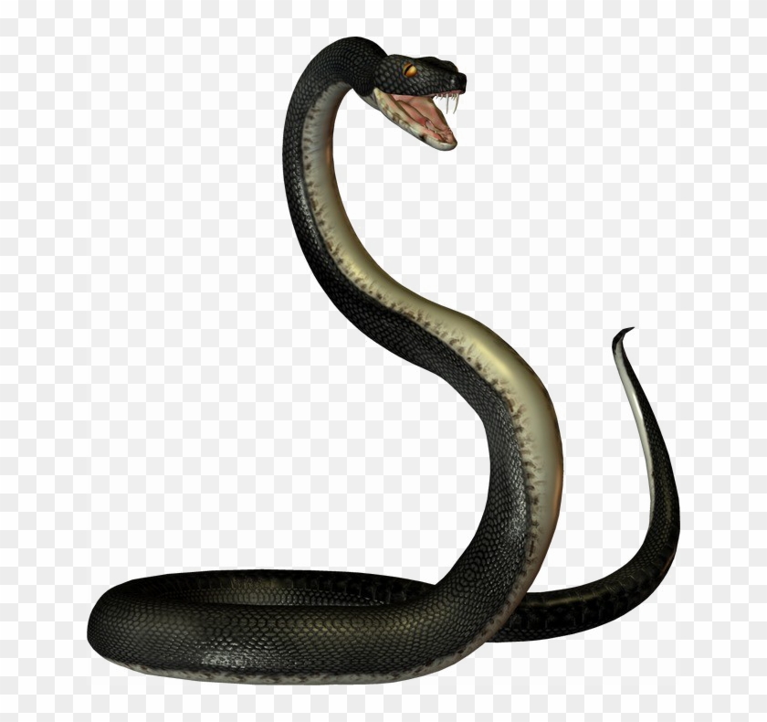 Black Mamba Snake Png Transparent Image Clipart is best quality and high re...