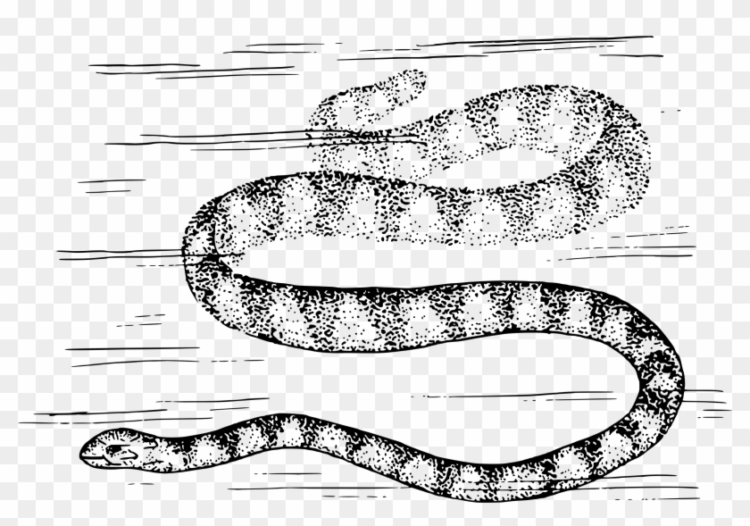 This Free Icons Png Design Of Sea Snake Clipart