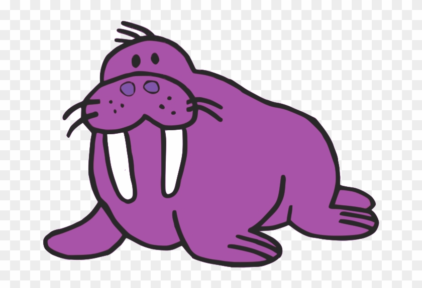 Walrus Sea Lion Drawing Clip Art - Png Download #1923676
