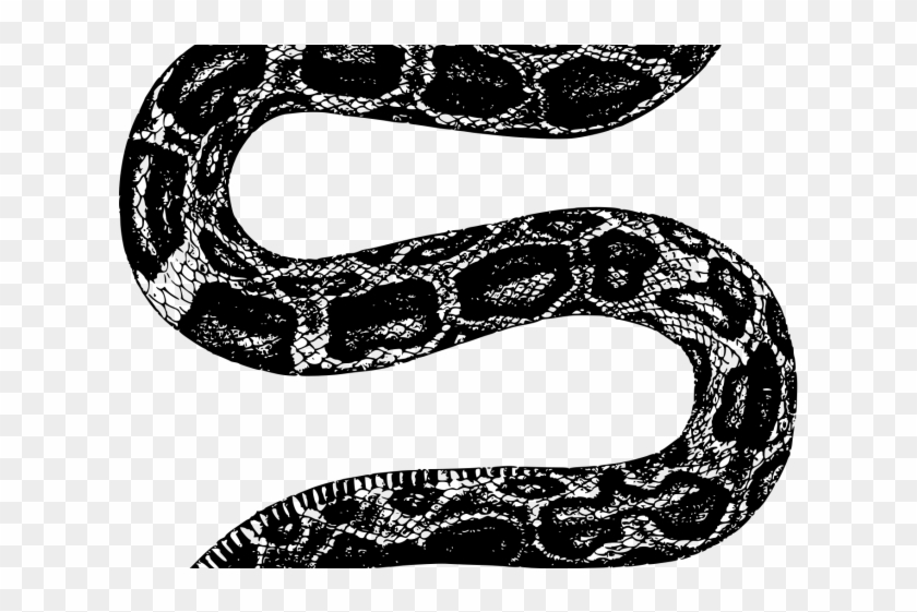 Drawn Snake Snake Png Clipart #1923677