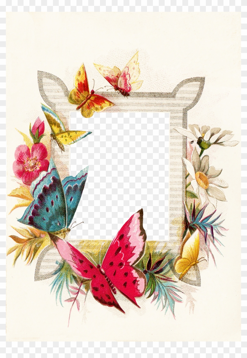 Frame Butterflies - Butterfly Borders And Frames Png Clipart #1926096