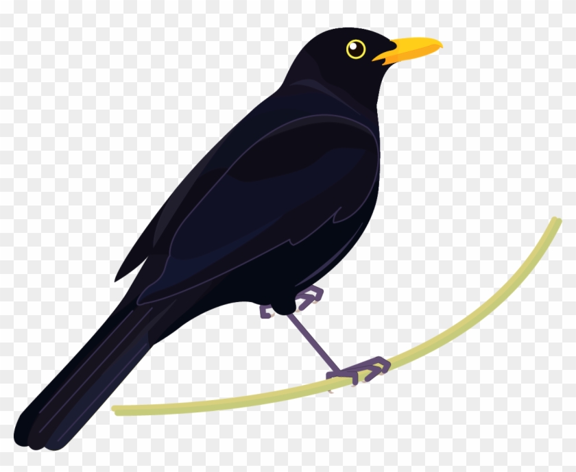 Blackbird Clipart