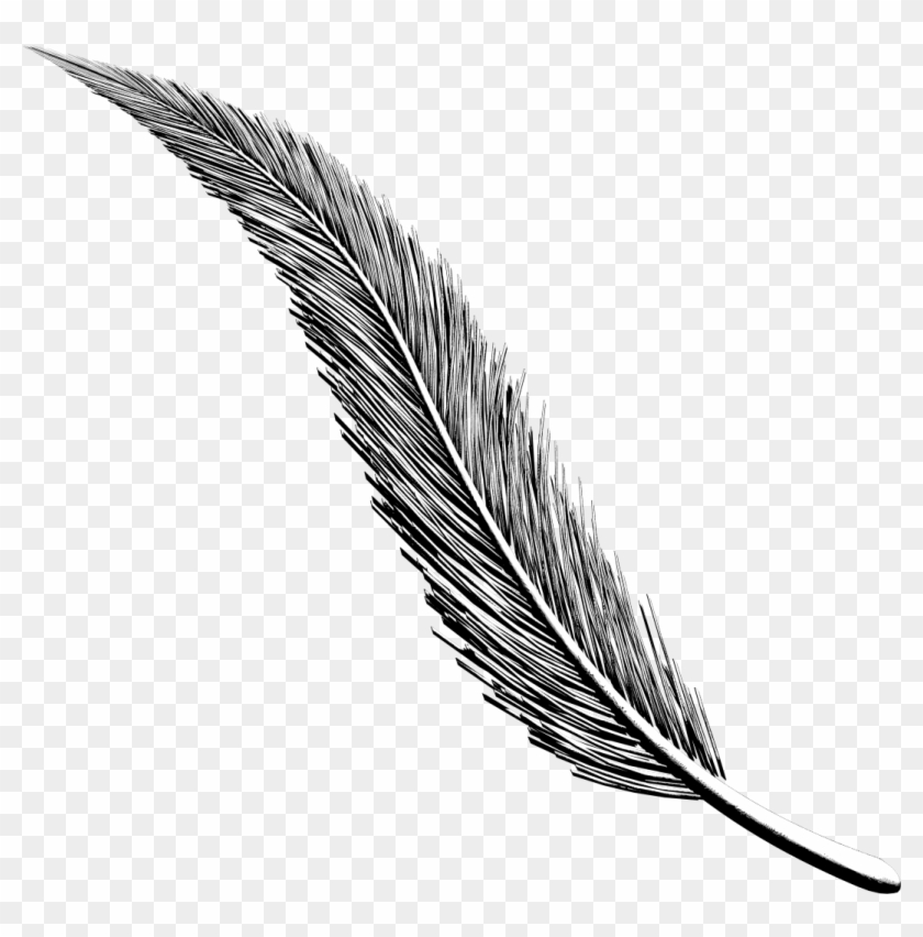 Art Project Diary Working On Some Inked - Illustration Clipart