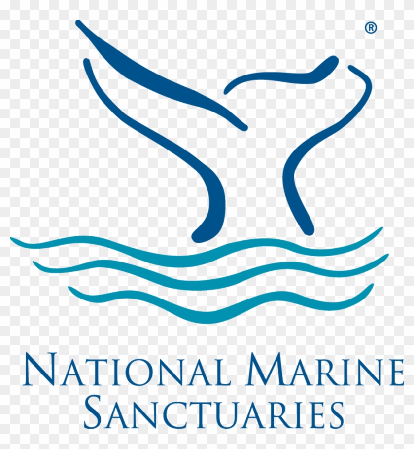 Nms Logo Color - Florida Keys National Marine Sanctuary Logo Clipart #1928142