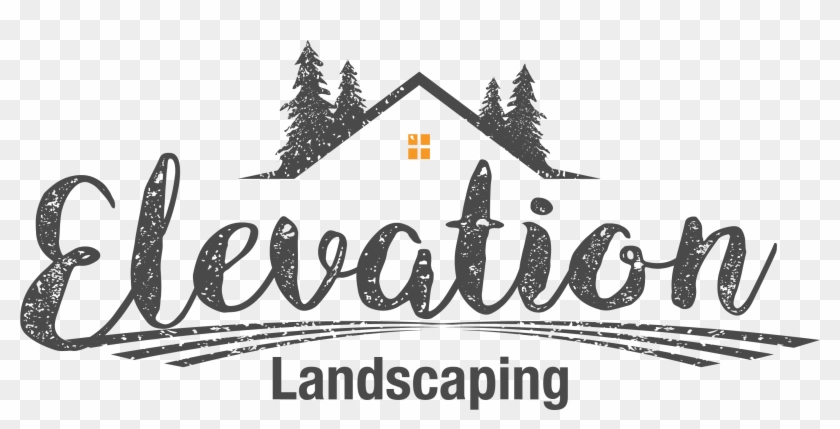 Brandon Flynn Shared - Christmas Tree Clipart