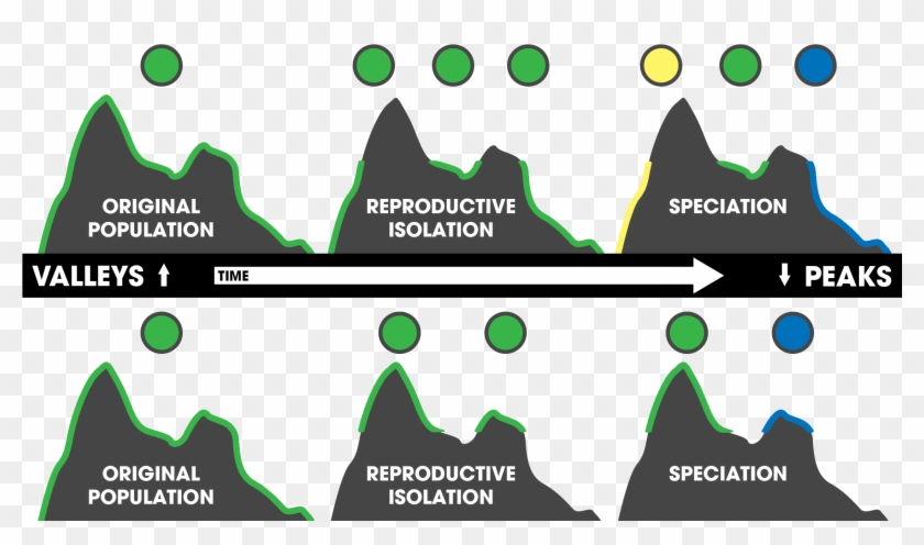 Topography-driven Isolation Peak&valley Clipart #1928342
