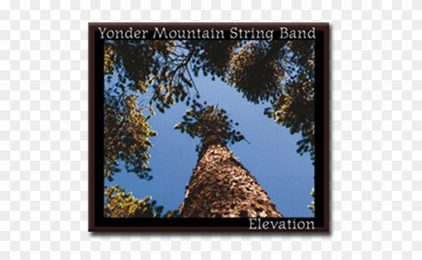 Yonder Mountain String Band Elevation Clipart #1928415