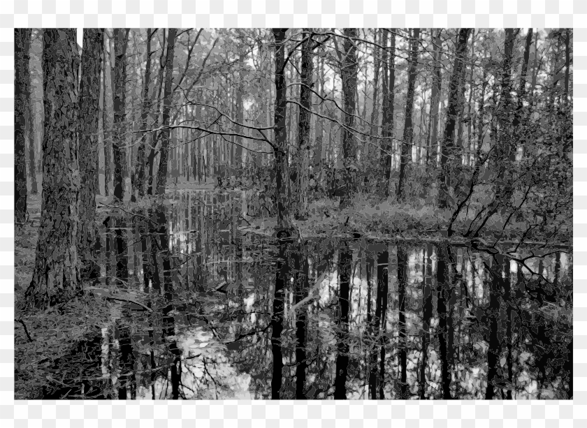 Medium Image Clipart