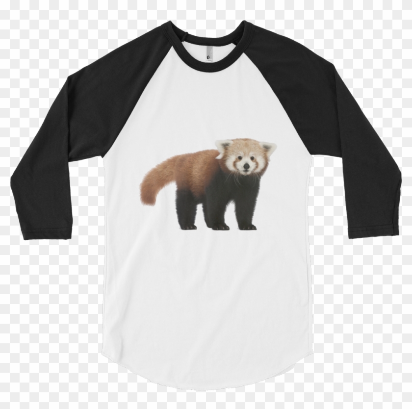 Red-panda Print 3/4 Sleeve Raglan Shirt Clipart #1930083