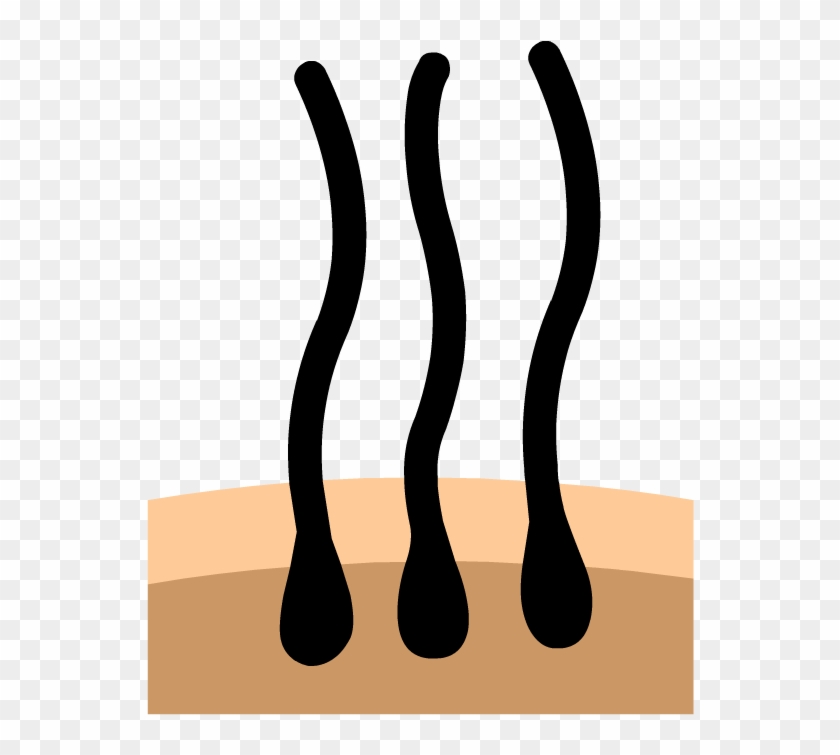 Hair Clipart #1931148