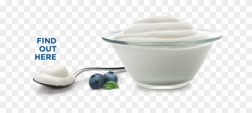 Super Foods Which Are Good For Moms Who Are Pregnant Clipart