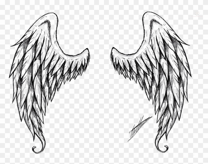 2304 X 1644 3 - Supernatural Angel Wings Drawing Clipart