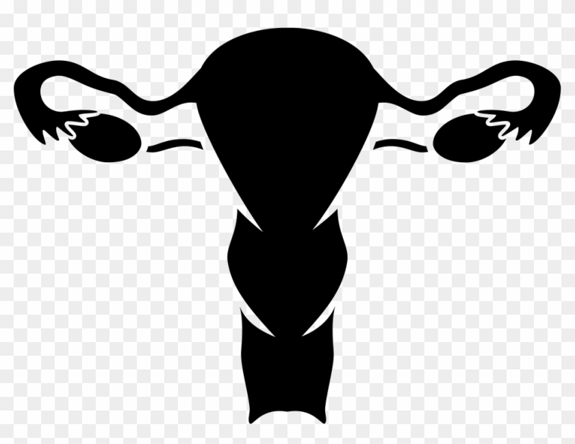 Png File Svg - Female Reproductive System Svg Clipart #1935092