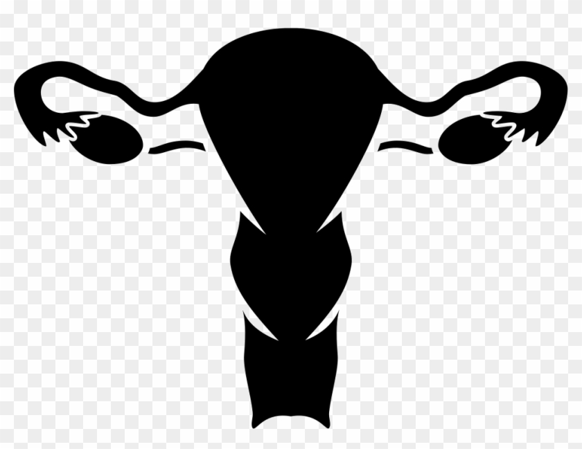 Png File Svg - Female Reproductive System Svg Clipart