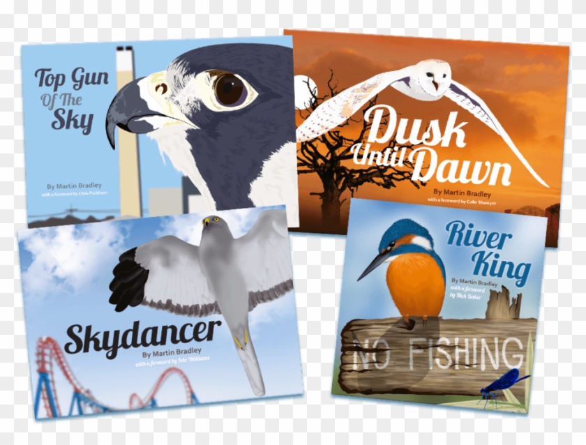 Martin Bradley Collection - Flyer Clipart #1939160