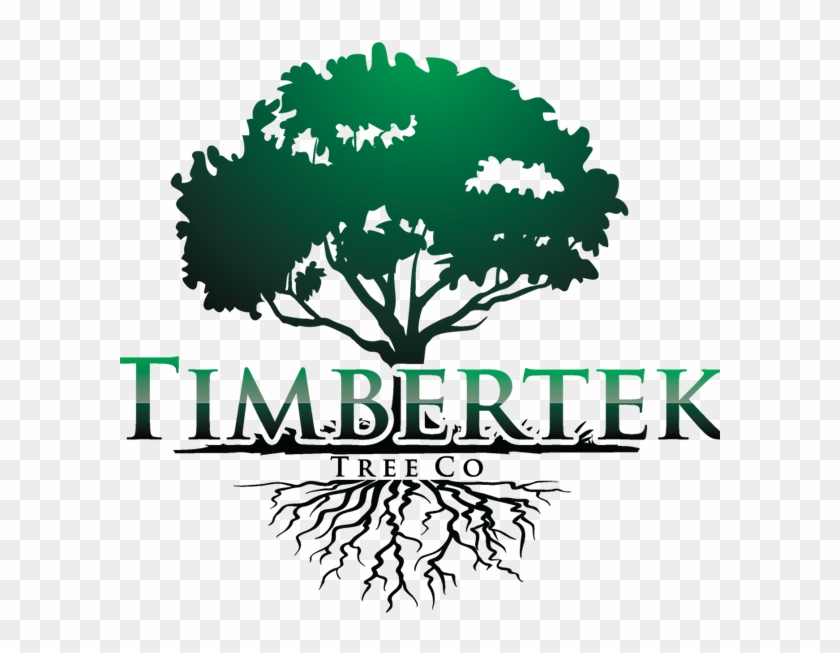 Paradise Tree Logo - Colossians 2 7 Clipart #1939161