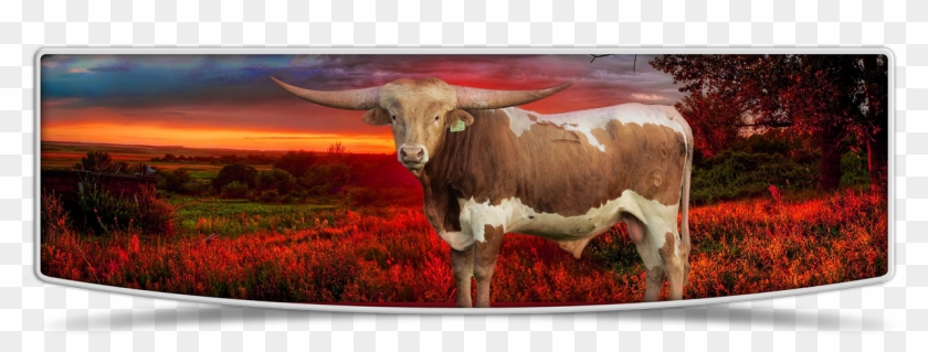 Lutt Longhorns Sale Banner Image - Texas Longhorn Clipart #1939678
