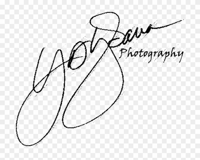 Professional Photographer - Line Art Clipart #1940100