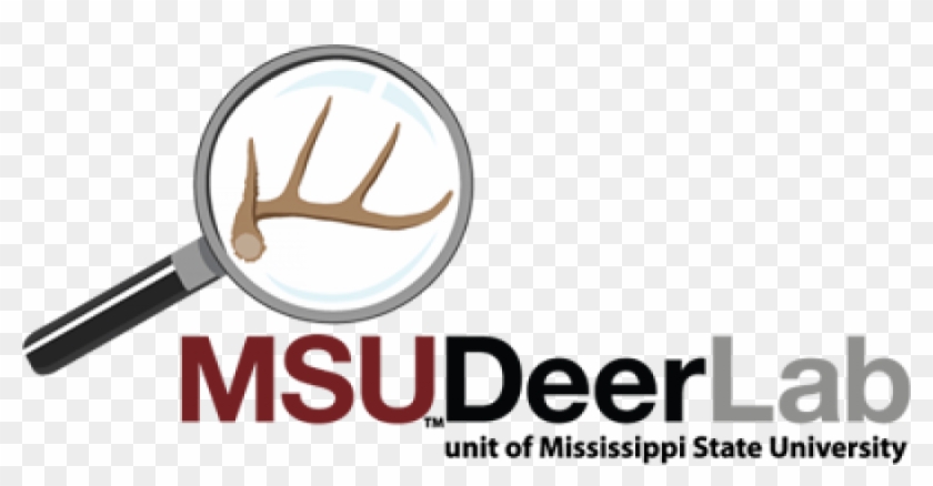 Check Out The Free Mobile App Deer Hunt By Mississippi - Msu Deer Lab Clipart