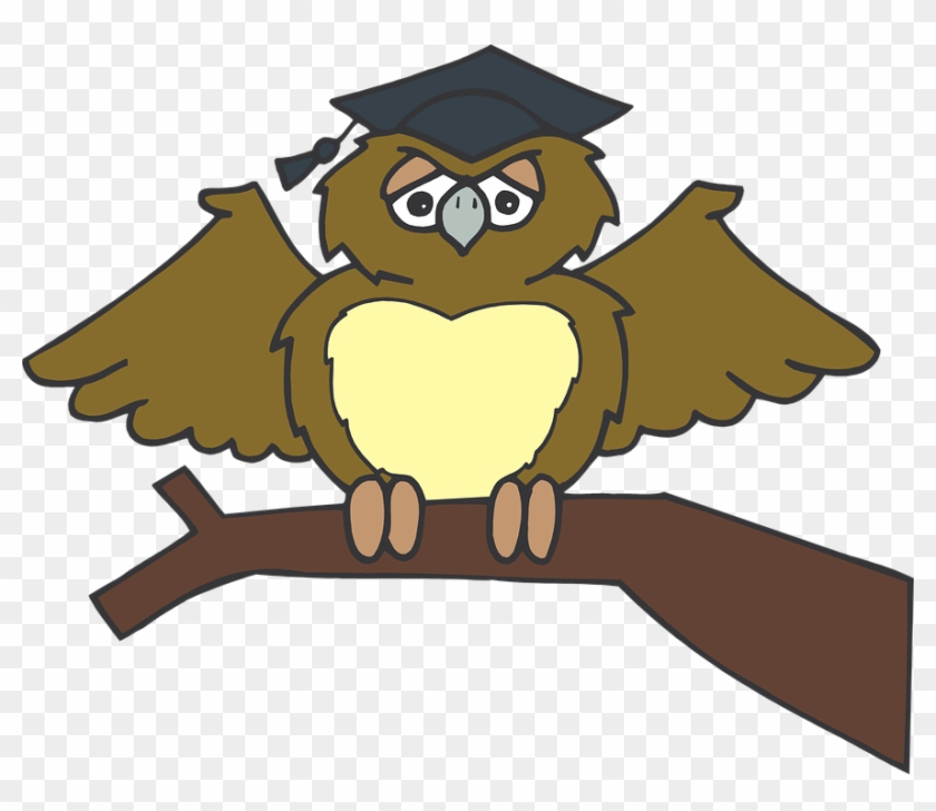 Graduation Clipart Tree - Vektor Burung Hantu Wisuda - Png Download