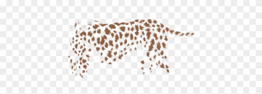 African Leopard Clipart #1942326