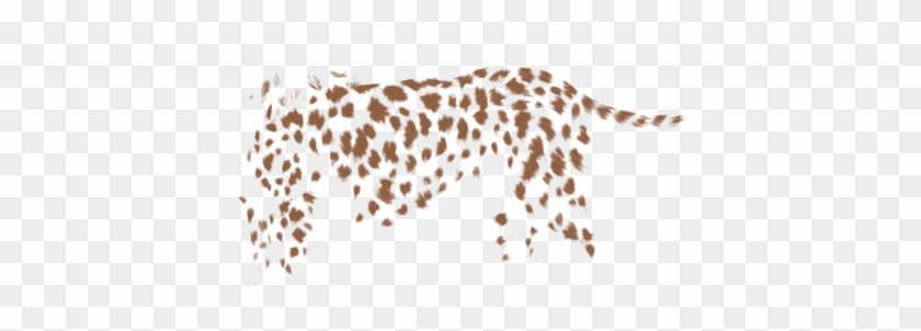 African Leopard Clipart