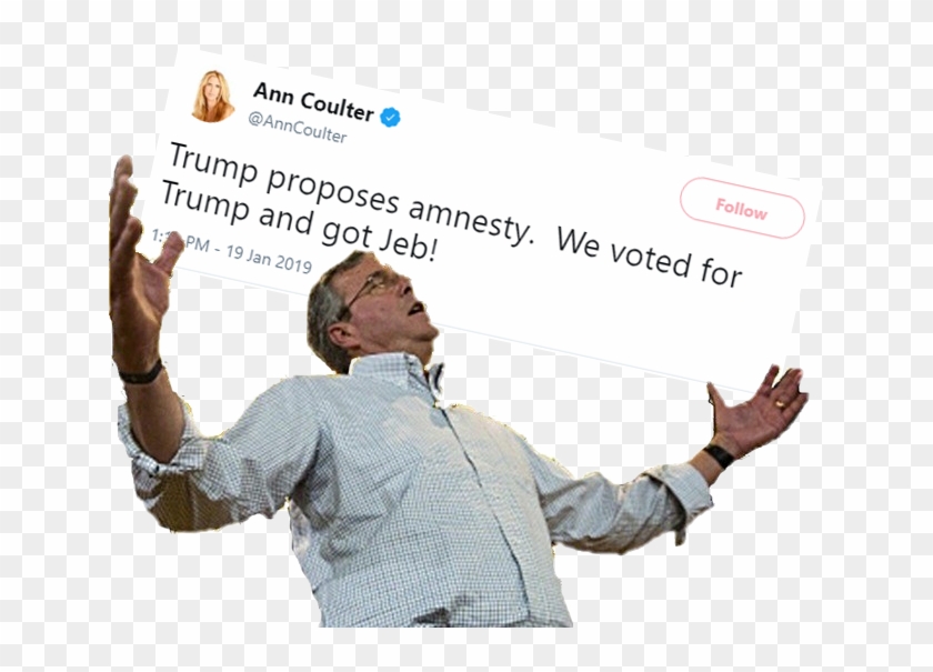 Ann Coulter @anncoulter Follow Trump Proposes Amnesty - Jeb Wins Clipart #1942816