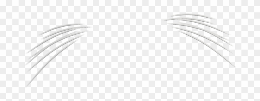 Cat Whiskers Png - White Cat Whiskers Png Clipart