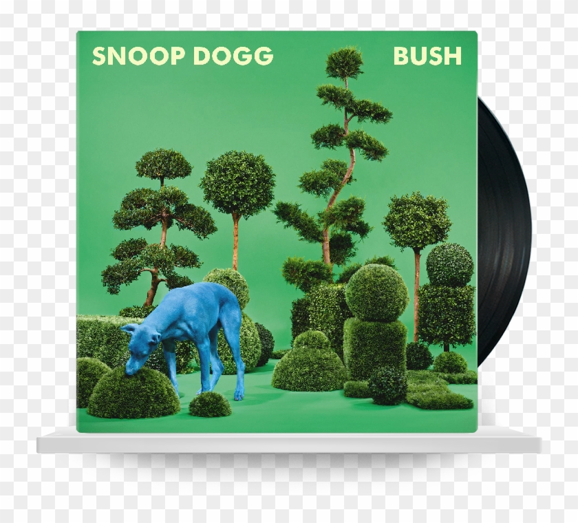 Snoop Dogg Bush , Png Download - Snoop Dogg Bush Clipart