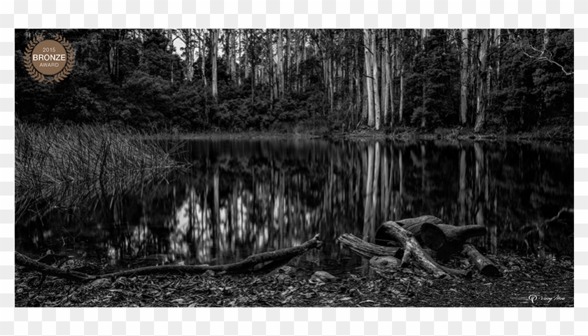 Hourglass Elegance Sanatorium Lake Vmp Sl Bw O 1 Home - Monochrome Clipart