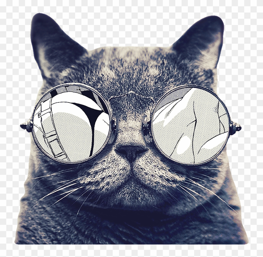 Sunglasses Icon With Cat Free Transparent Image Hq Clipart #1943790
