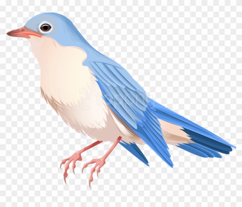 Free Png Download Bird Png Images Background Png Images - Bird Transparent Clipart #1944238