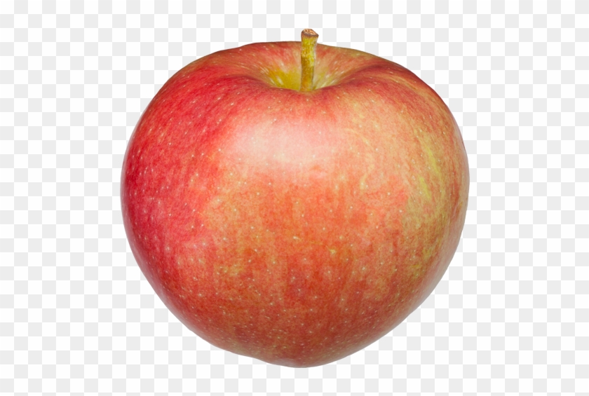 Paula Red Apple Apple - Paula Red Apple Png Clipart #1945877