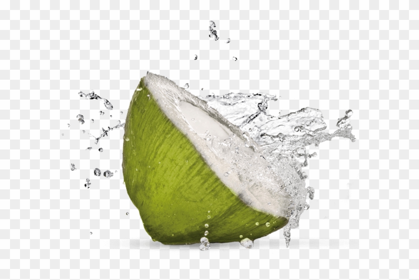 Black And White Download Cocowhey Water With Protein - Fresh Coconut Water Png Clipart