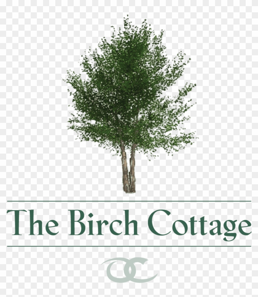 Mirror Stage Lacan Clipart