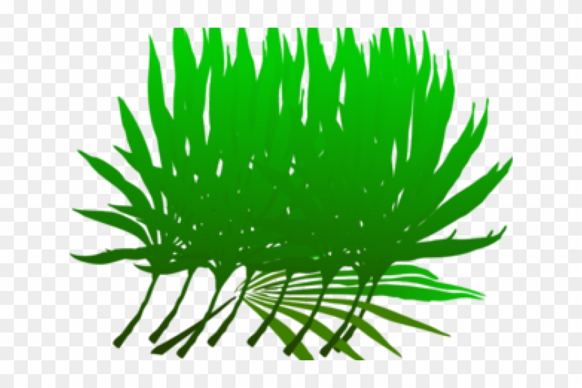 Palm Branch Png Clipart #1952226