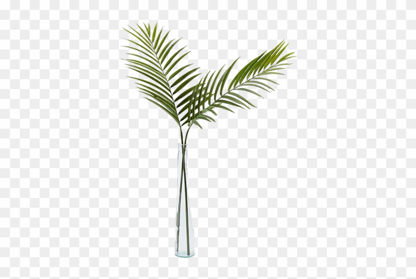 Vase With Palm Leaves Clipart
