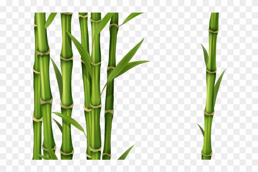 Bamboo Clipart Picture Frame - Transparent Bamboo - Png Download