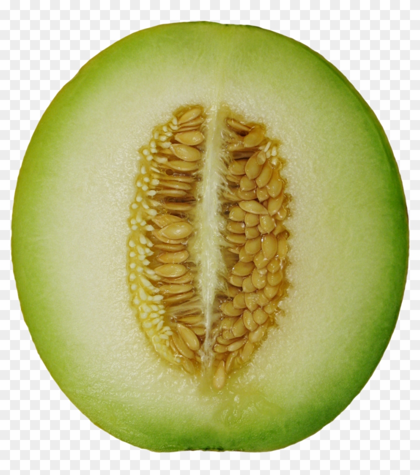 Winter Melon - Winter Melon Png Clipart #1955187